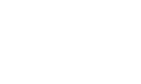 Predisan 40yrs number only white